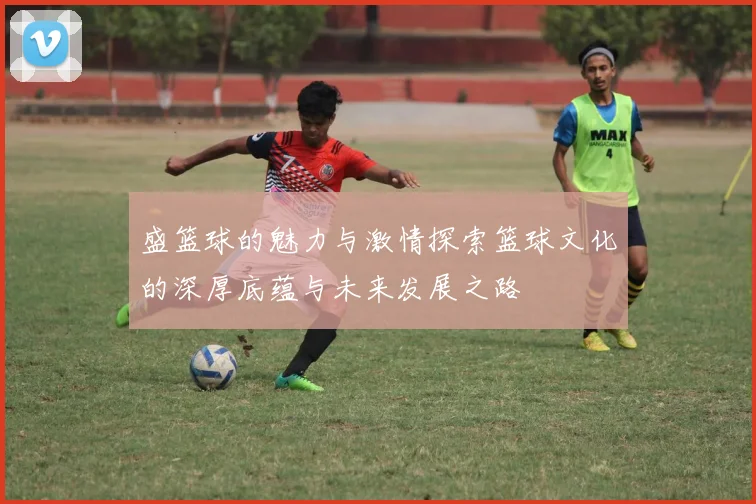 盛篮球的魅力与激情探索篮球文化的深厚底蕴与未来发展之路
